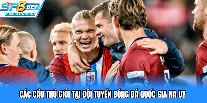 Các cầu thủ giỏi tại đội tuyển quốc gia Na Uy