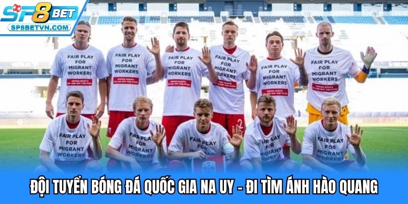 Đội tuyển bóng đá quốc gia Na Uy