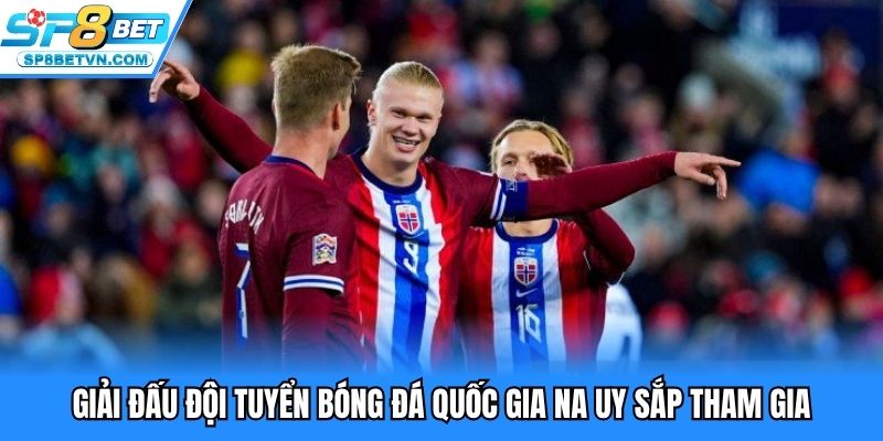 Giải đấu đội tuyển bóng đá quốc gia Na Uy sắp tham gia