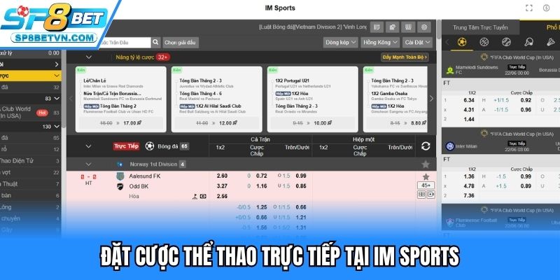 Đặt cược thể thao trực tiếp tại IM Sports