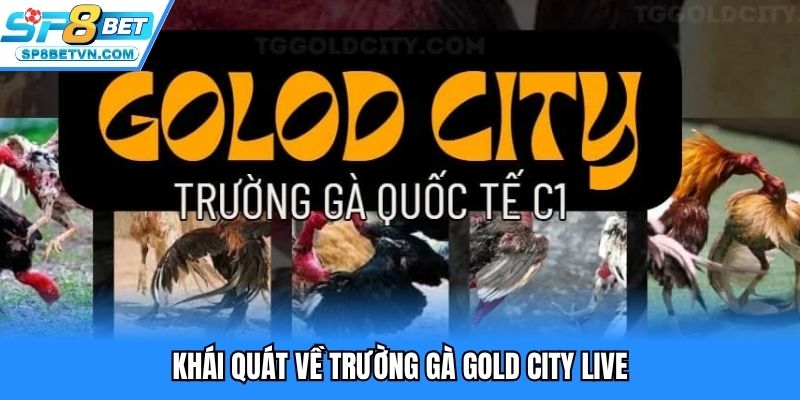 Khái quát về trường gà Gold City live