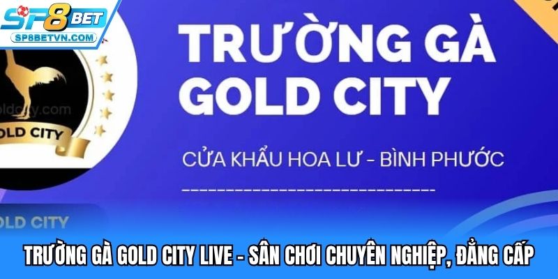 Trường gà Gold City live